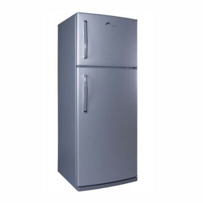 Réfrigérateur Mont Blanc 300L FGE35 - DeFrost - Gris