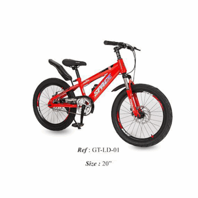 Bicyclette Enfant 20" GT-LD-01