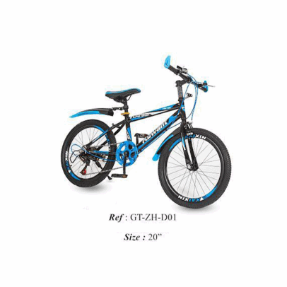 Bicyclette Enfant 20" GT-ZH-D01 - 7 Vitesses