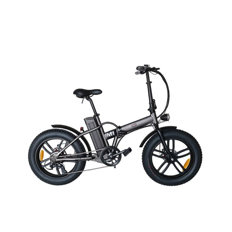 Bicyclette Électrique LVNENG M1 - 350W - Gris