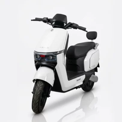 Scooter Électrique GSM Elegeant - 2000W